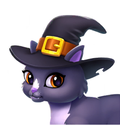 Wordscapes Spooky Black Cat Wildlife animal