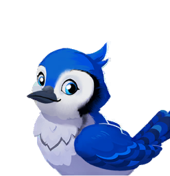 Wordscapes Blue Jay Wildlife animal