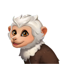 Wordscapes Capuchin Wildlife animal
