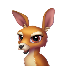 Wordscapes Kangaroo Wildlife animal
