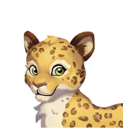Wordscapes Leopard Wildlife animal