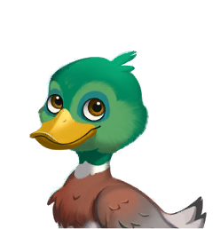 Wordscapes Mallard Duck Wildlife animal